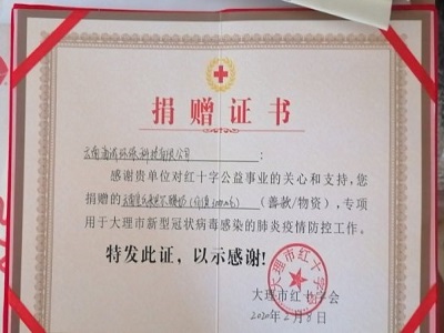 “云南省大理市红十字会”捐赠证书